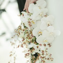 Mia Viaの写真11枚目