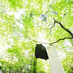 ザ ナンザンハウスの写真19枚目