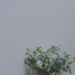 ラ・クラリエールの写真34枚目