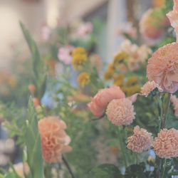 ラ・クラリエールの写真22枚目