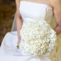 旧桜宮公会堂の写真11枚目