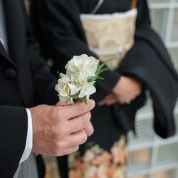 旧桜宮公会堂の写真20枚目