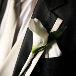 グラストニアの写真1枚目