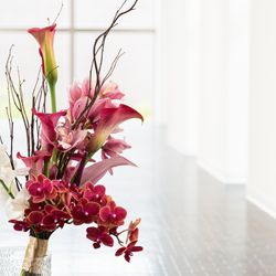 ノートルダム北九州の写真22枚目