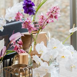 ノートルダム北九州の写真13枚目