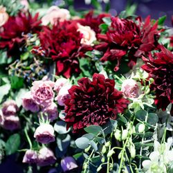 グランド ハイアット 東京の写真20枚目