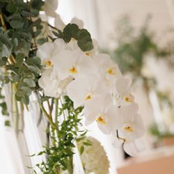 パレスホテル東京の写真23枚目