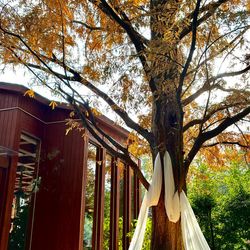 鶴見ノ森 迎賓館の写真12枚目