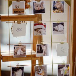 鶴見ノ森 迎賓館の写真11枚目