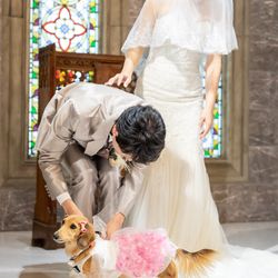 セント・オルコット ガーデンの写真5枚目