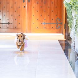 セント・オルコット ガーデンの写真23枚目