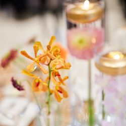 ニーズ青山 by T&G WEDDING の写真19枚目