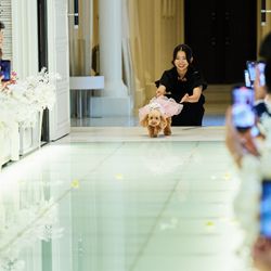 ニーズ青山 by T&G WEDDING の写真10枚目