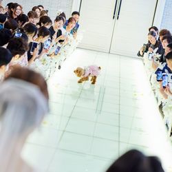 ニーズ青山 by T&G WEDDING の写真23枚目