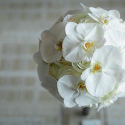 グランド ハイアット 東京の写真21枚目