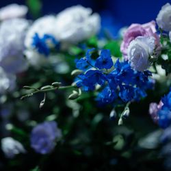 グランド ハイアット 東京の写真33枚目