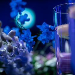 グランド ハイアット 東京の写真29枚目