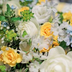 ツキ シュール ラ メールの写真35枚目