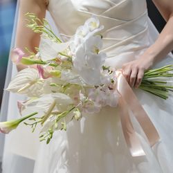 アルモニーソルーナ 表参道の写真7枚目