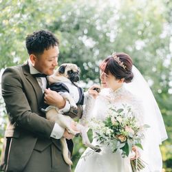 アコールハーブの写真33枚目