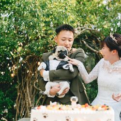 アコールハーブの写真26枚目