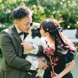 アコールハーブの写真3枚目