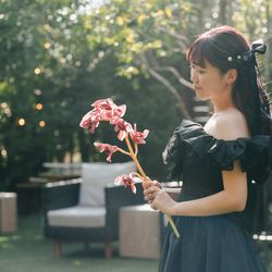 アコールハーブの写真24枚目