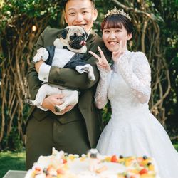 アコールハーブの写真18枚目