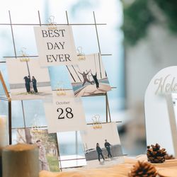 アコールハーブの写真1枚目