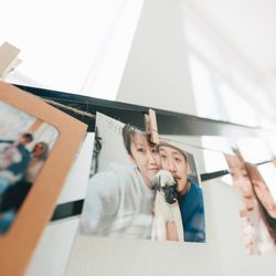 アコールハーブの写真3枚目