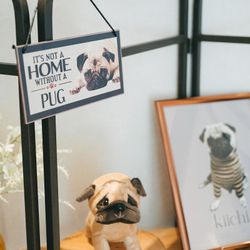 アコールハーブの写真20枚目