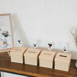 アコールハーブの写真11枚目