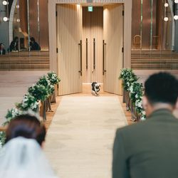 アコールハーブの写真24枚目