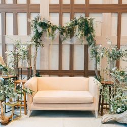 アコールハーブの写真29枚目