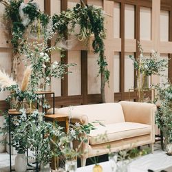 アコールハーブの写真32枚目