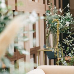 アコールハーブの写真34枚目