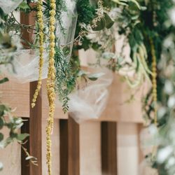 アコールハーブの写真19枚目