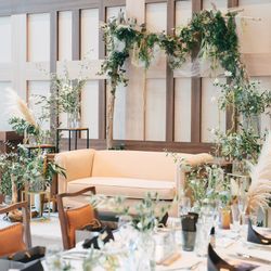 アコールハーブの写真28枚目