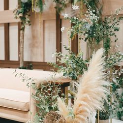 アコールハーブの写真12枚目