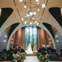 アコールハーブの写真18枚目