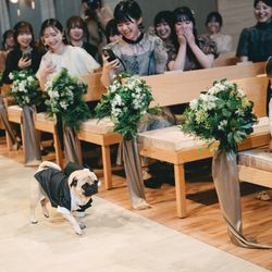 アコールハーブの写真30枚目