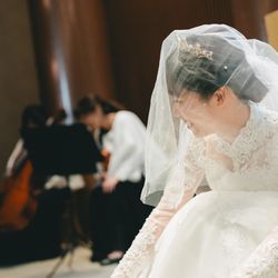 アコールハーブの写真28枚目