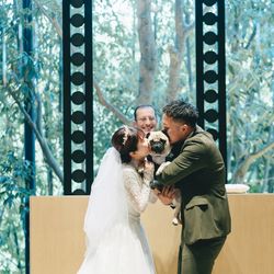 アコールハーブの写真1枚目