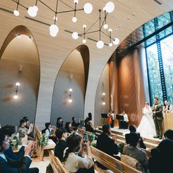 アコールハーブの写真36枚目