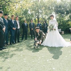 アコールハーブの写真4枚目