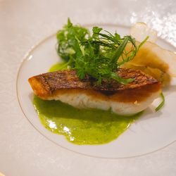 TRUNK BY SHOTO GALLERYの写真31枚目