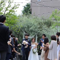 TENOHA DAIKANYAMAの写真21枚目