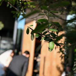 TRUNK HOTELの写真4枚目