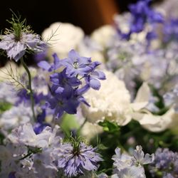 コンラッド東京の写真33枚目