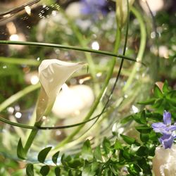 コンラッド東京の写真6枚目